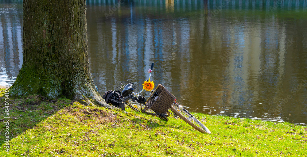 Naklejka premium Fahrrad liegt am Ufer der Spree, Berlin, Deutschland