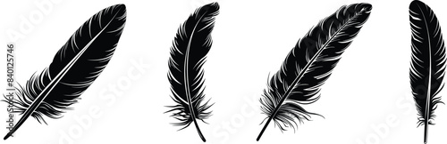 Set of feathers, vector illustration.