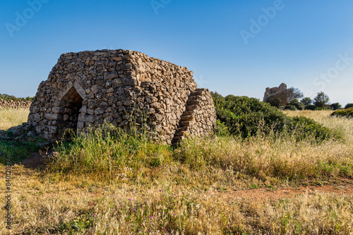 Salento: Pajara salentina nel parco naturale di Porto Selvaggio - Nardò, Lecce, Puglia, Italia photo