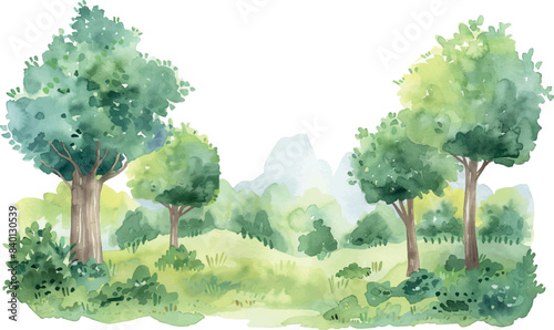 Watercolor background illustration trees in the forest