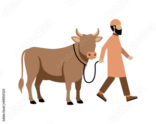 Eid Al Adha festival. Eid Adha clipart with sacrificial cow in isolated background. Eid Mubarak theme. Eid al Adha graphic clipart element decoration.
