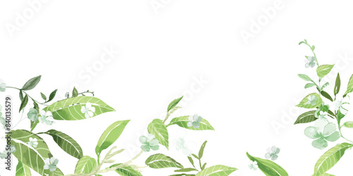 watercolor arrangements with small flower. Botanical illustration minimal style.