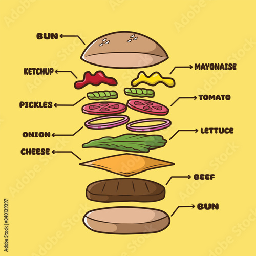 burger anatomy good for poster and advertisement