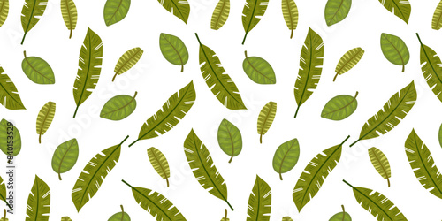 Tropical leaves seamless pattern. Botanical summer background, vector isolated on white background. Palm, banana tree. © Natalie