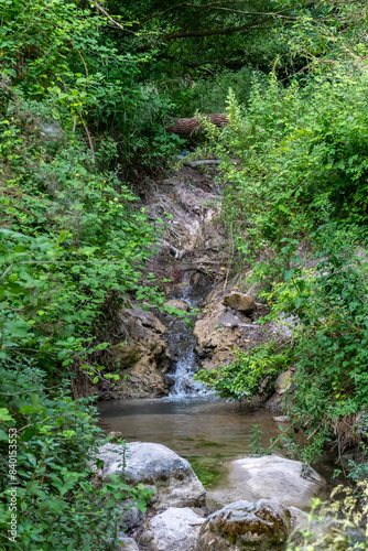 Part of the Nahal Hashofet stream at Ramat Menashe Forest part of the Carmel mountain range in Israel
