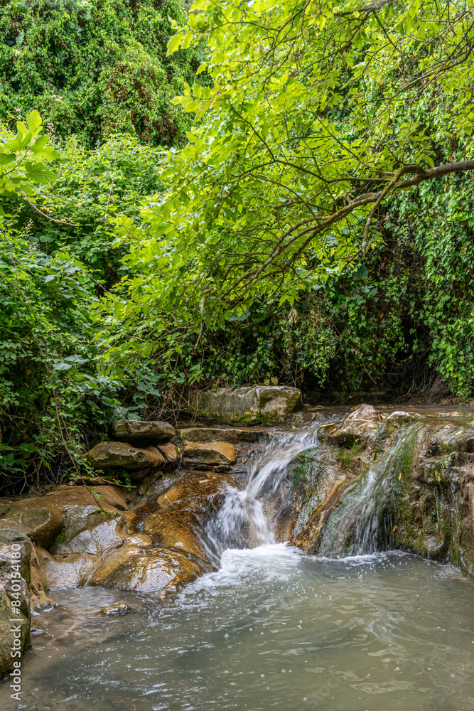 Waterfall at Nahal Hashofet at Ramat Menashe Forest part of the Carmel mountain range in Israel.
Waterfall at Nahal Hashofet at Ramat Menashe Forest part of the Carmel mountain range in Israel.