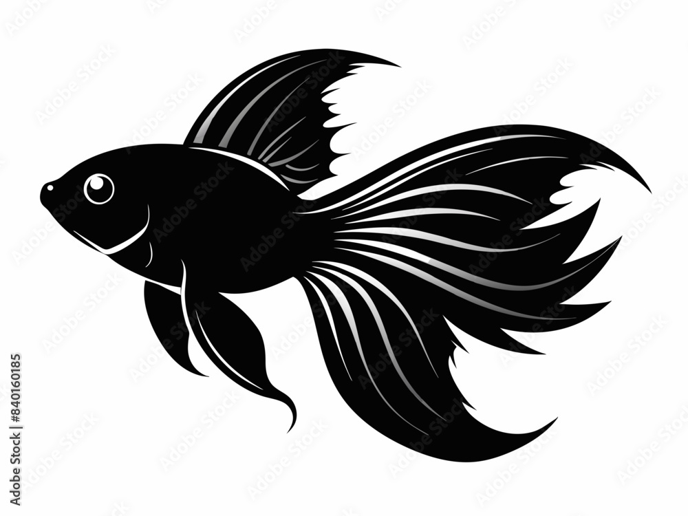 Betta fish silhouette vector illustration Betta fish silhouette vector illustration