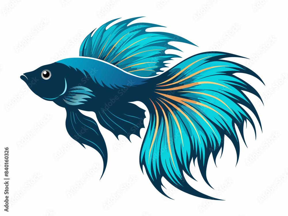 Betta fish vector illustration isolated on white background Betta fish vector illustration isolated on white background