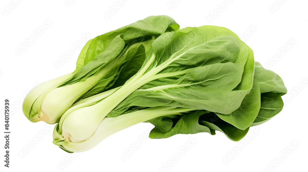 Crisp Green Bok Choy, a delectable culinary delight with tender leaves and crunchy stalks, enriching dishes with both flavor and nutritional goodness. Crisp Green Bok Choy, a delectable culinary delight with tender leaves and crunchy stalks, enriching dishes with both flavor and nutritional goodness.