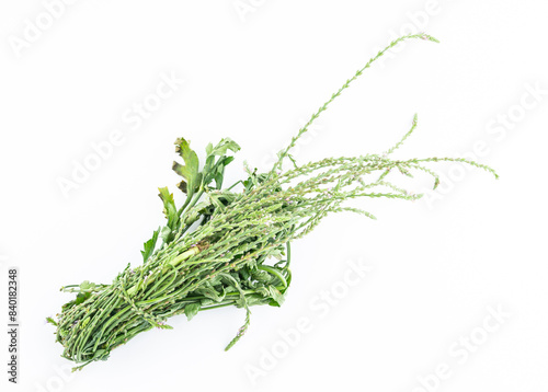 Fresh Chinese Herbs-Verbena