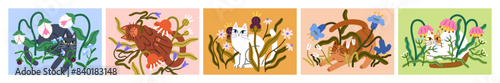 Cute cats in flowers, card designs set. Funny kitties in summer garden blossoms. Feline animals among floral plants, spring blooms. Kitten pets relaxing in meadow wildflowers. Flat vector illustration