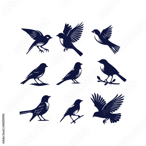 bird silhouette Clip art isolated vector illustration on white background © Roman