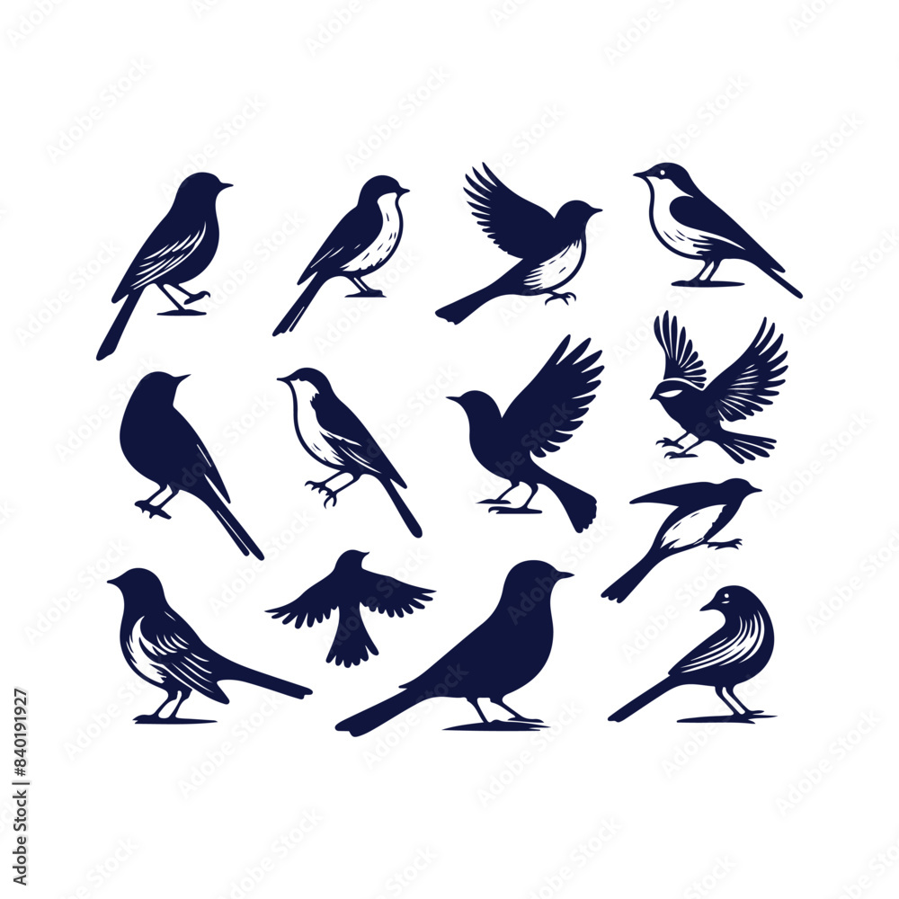 Fototapeta premium bird silhouette Clip art isolated vector illustration on white background