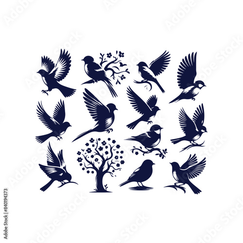 bird silhouette Clip art isolated vector illustration on white background