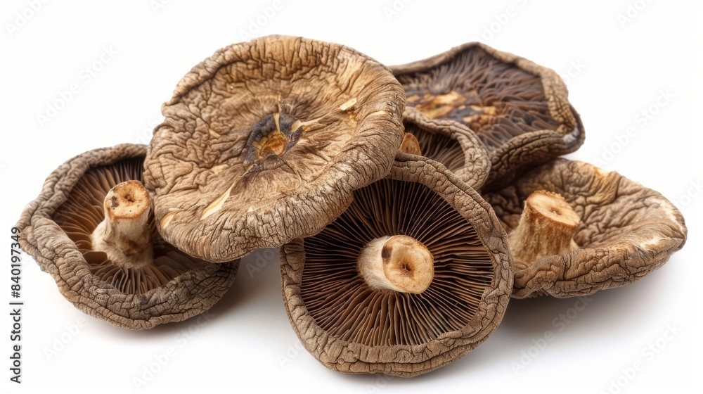 dried shiitake mushrooms Isolated on white background. cooking ingredients for healthful food concept for designer dried shiitake mushrooms Isolated on white background. cooking ingredients for healthful food concept for designer