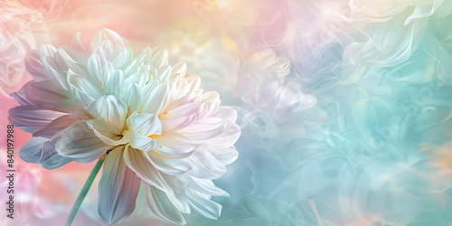 Soft focus on delicate white flower with a dreamy pastel bokeh background, capturing the essence of spring and the gentle beauty of nature in a serene and ethereal setting..