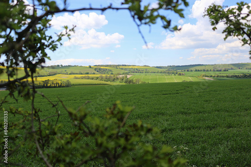 green and yellow fields rural countryside of the south downs national park  england