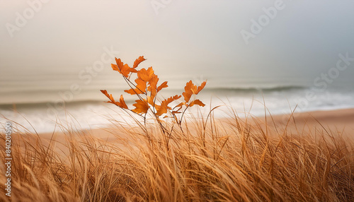 Jesienny, mglisty poranek nad morzem, tapeta, dekoracja. Generative AI photo
