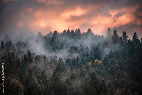 Misty mountain landscape