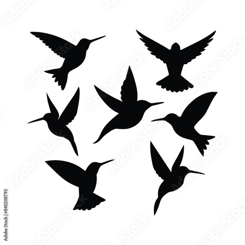 Bird sihlouette 