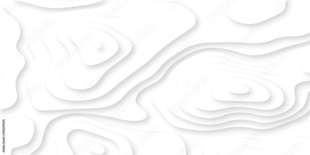 Abstract white paper cut background with lines. Background of the topographic map. White wave paper curved reliefs abstract background. Realistic papercut decoration textured with wavy layers. Abstract white paper cut background with lines. Background of the topographic map. White wave paper curved reliefs abstract background. Realistic papercut decoration textured with wavy layers.