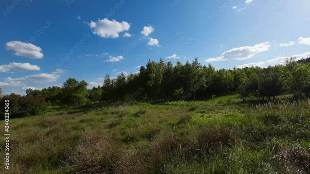 Spring weather and green nature in a low drone flight. Spring weather and green nature in a low drone flight.