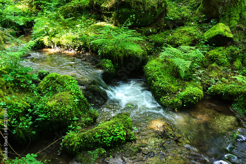 Rötelbachtal; Premiumweg & Schwarzwälder Genießerpfad „Wasser-, Wald- und Wiesenpfad“, Nordschwarzwald;