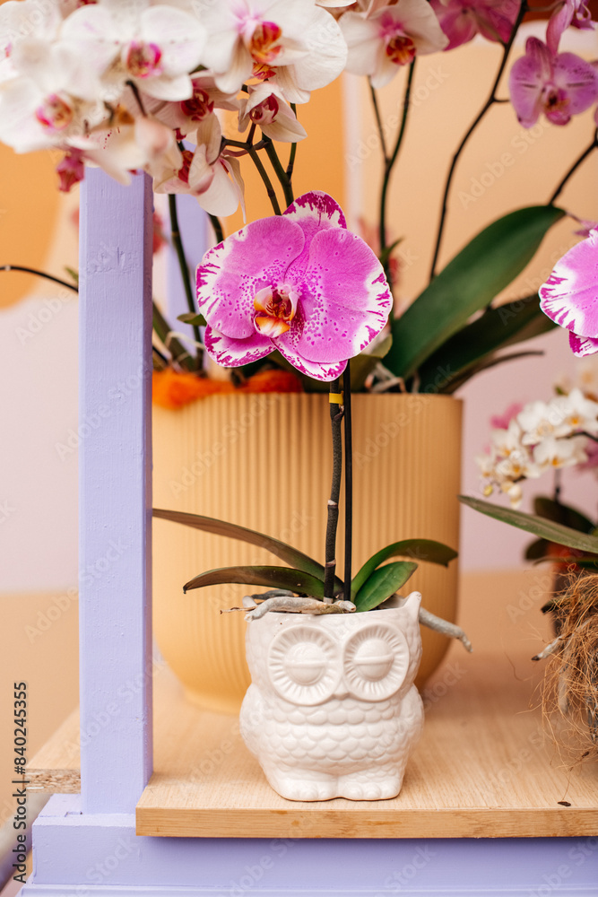 Fototapeta premium still life with flowers
