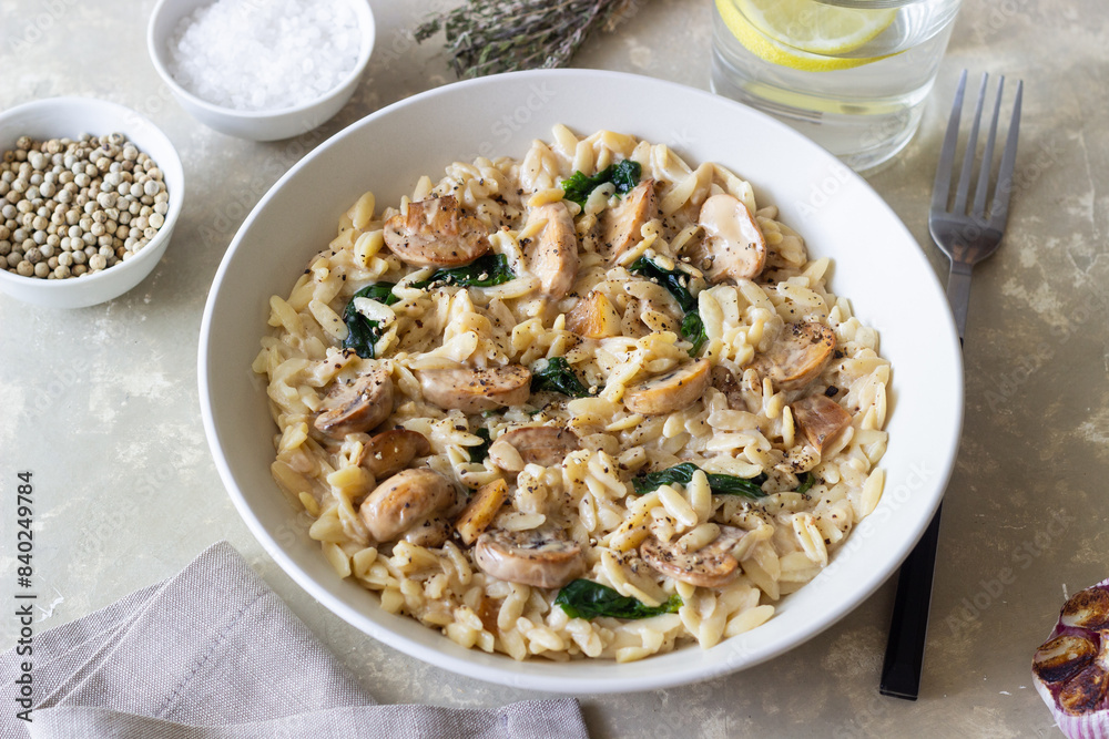 Orzo pasta with mushrooms and spinach. Italian Cuisine. Vegetarian food. Orzo pasta with mushrooms and spinach. Italian Cuisine. Vegetarian food.