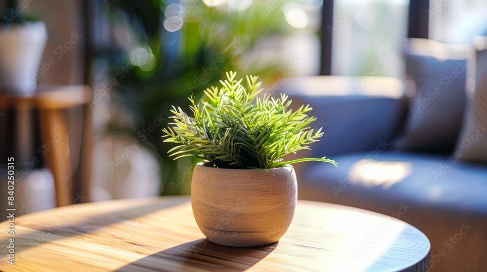 A potted plant with green leaves sits on a wooden table in a bright indoor space A potted plant with green leaves sits on a wooden table in a bright indoor space