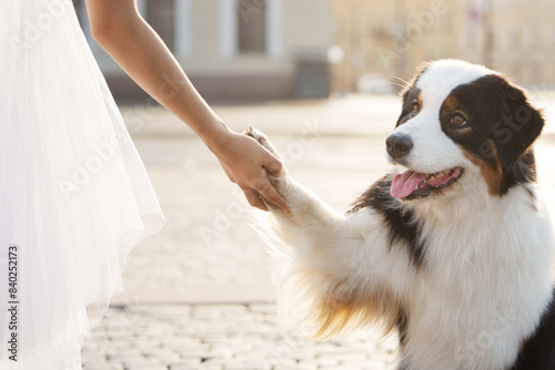 tender moment with her Australian Shepherd Dog, who gently holds her hand in a sunlit urban square