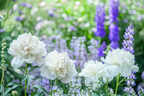 White peonies stand out in a colorful garden