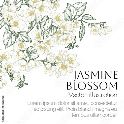 Vector frame of a branch of blooming jasmine in engraving style	