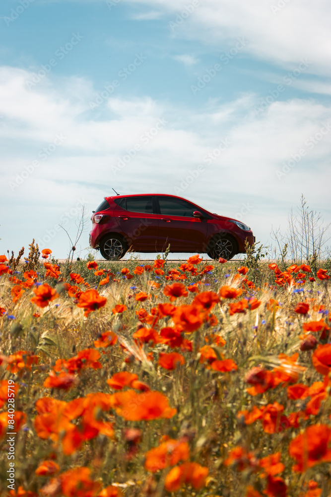 Red car on the poppy and wheat field foreground. Summertime travel. Travel in Ukraine. Scenery summer landscape with red car on background. Adventure in idyllic countryside. Poppy meadow and auto.