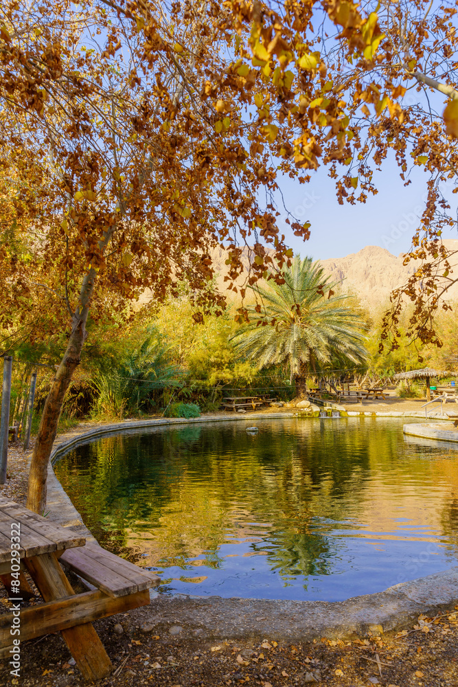 Wading pool, in Einot Tzukim (Ein Feshkha) Nature Reserve