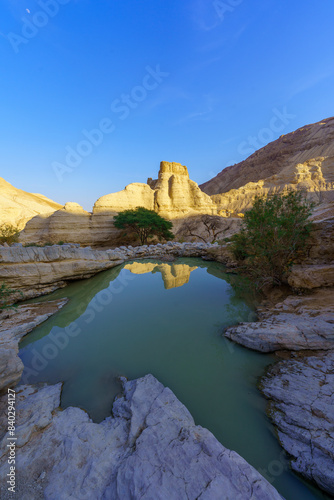 Zohar stronghold, and winter puddle, Judaean Desert photo