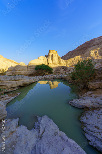Obraz na płótnie Zohar stronghold, and winter puddle, Judaean Desert w salonie