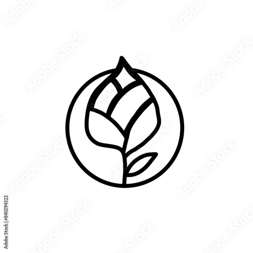 Foto illustration of a leave logo