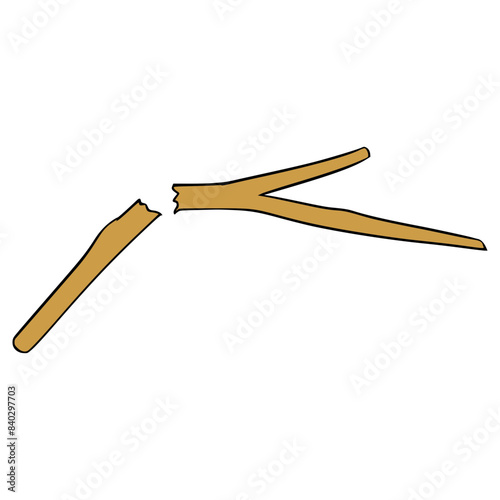 broken twig illustration hand drawn isolated vector	
