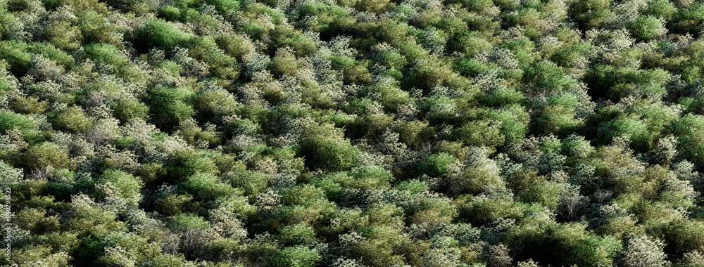 Green dense forest background, aerial view Green dense forest background, aerial view