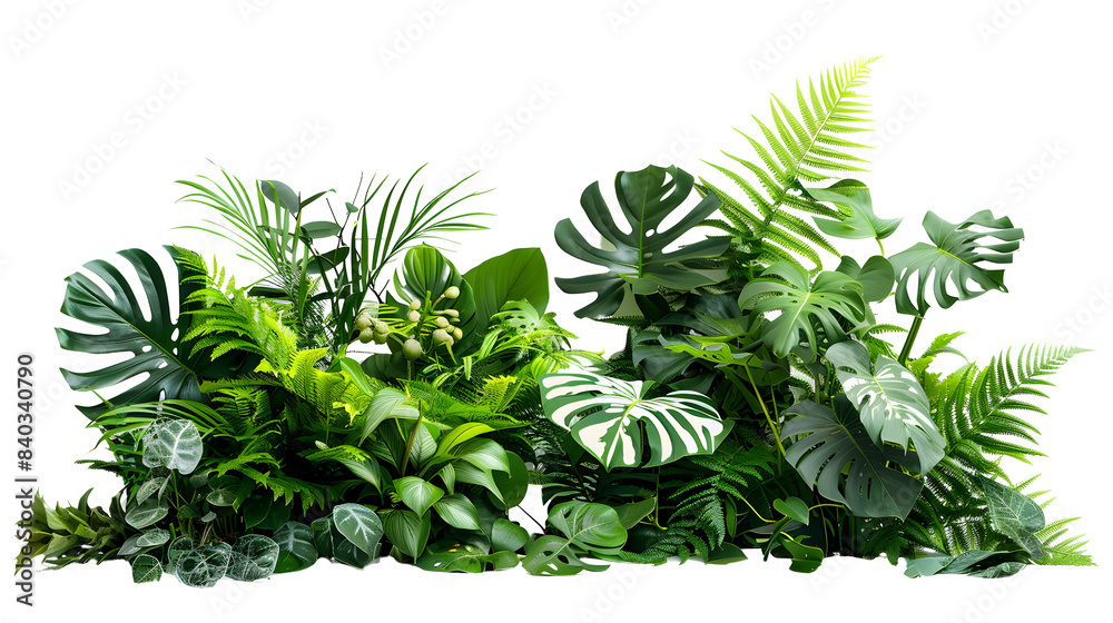 Tropical Foliage Arrangement Tropical Foliage Arrangement