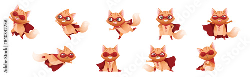 Ginger Cat Superhero Character Wearing Red Cloak and Mask Vector Set