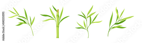 Wallpaper Mural Bamboo Green Stalk or Branch with Leaf Vector Set Torontodigital.ca
