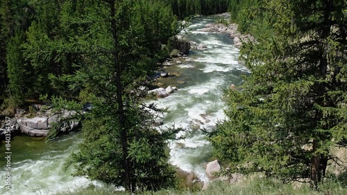 Video of Altai river Chulyshman. Vew through larch trees. photo