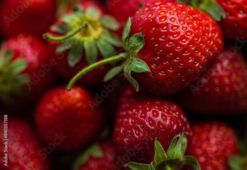 Variety of Organic strawberries in Vintage Wooden Boxes
