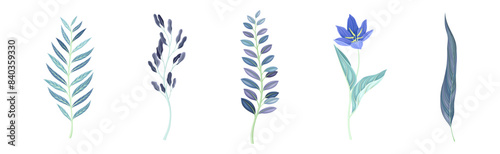 Blue Flowers on Stem as Meadow or Field Plant Vector Set