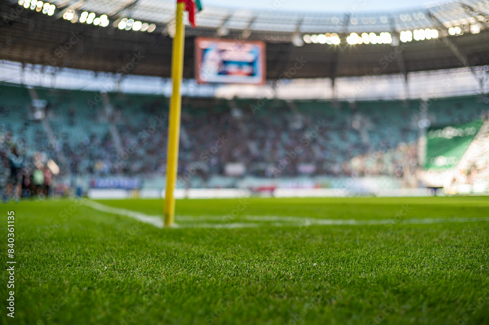 Fototapeta premium grass on the football pitch at the stadium
