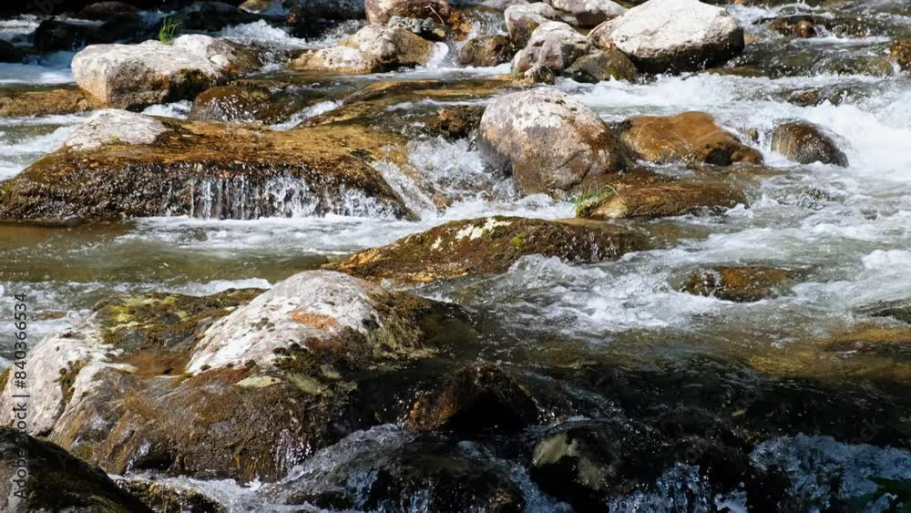 Video of the Altai mountain river Verkhniy Kulash, the right tributary of the Chulyshman. Video of the Altai mountain river Verkhniy Kulash, the right tributary of the Chulyshman.