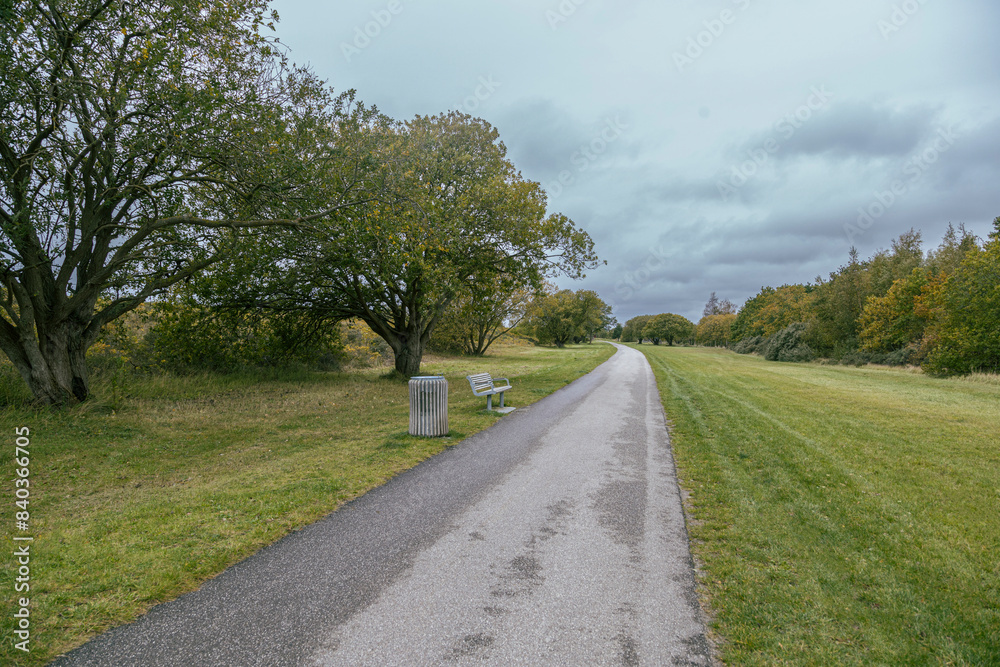 Fototapeta premium Bicycle path in Denmark Europe - Vallensbaek Strand