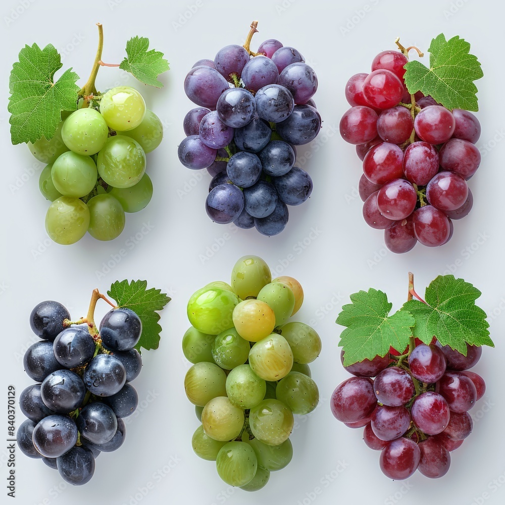 Variety of Fresh Grapes with Leaves Variety of Fresh Grapes with Leaves